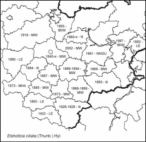 Расселение Elsholtzia ciliata в Средней России