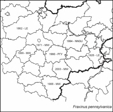 Расселение Fraxinus pennsylvanica в Средней России
