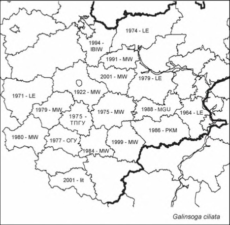 Расселение Galinsoga quadriradiata в Средней России