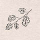 Семейство Rosaceae — Розоцветные (Розовые)