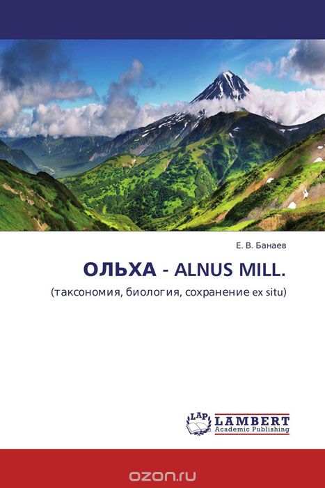 Ольха — Alnus Mill.