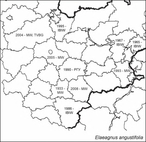 Расселение Elaeagnus angustifolia в Средней России