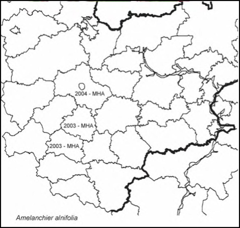 Расселение Amelanchier alnifolia в Средней России