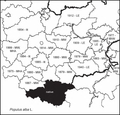 Расселение Populus alba в Средней России