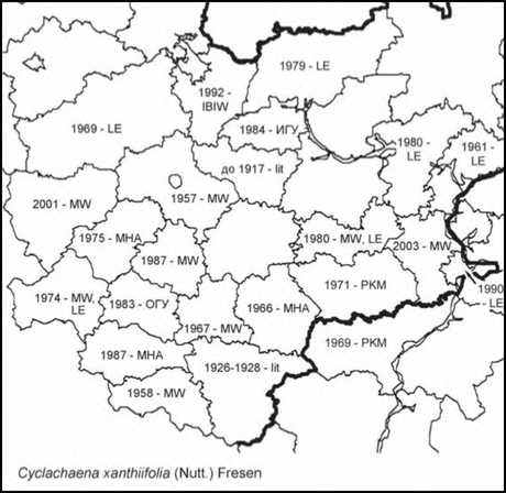 Расселение Cyclachaena xanthiifolia в Средней России