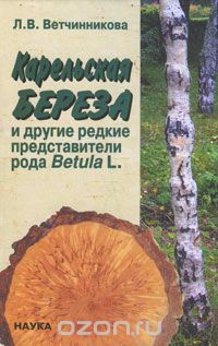 Карельская берёза и другие редкие представители рода Betula L.