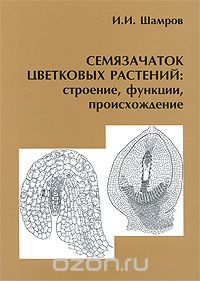 Семязачаток цветковых растений. Строение, функции, происхождение