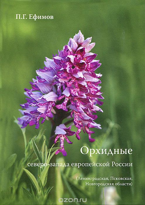 Орхидные северо-запада европейской России