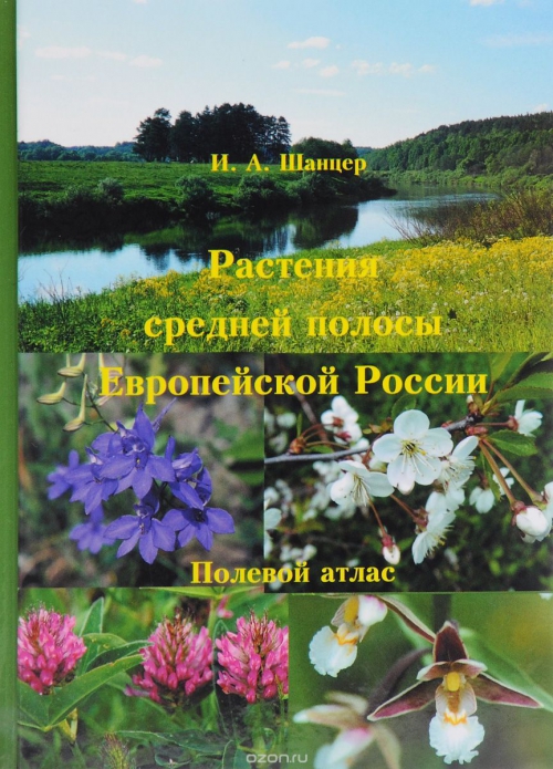 Растения средней полосы Европейской России. Полевой атлас