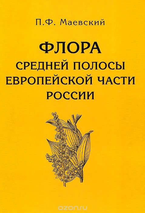 Флора средней полосы европейской части России